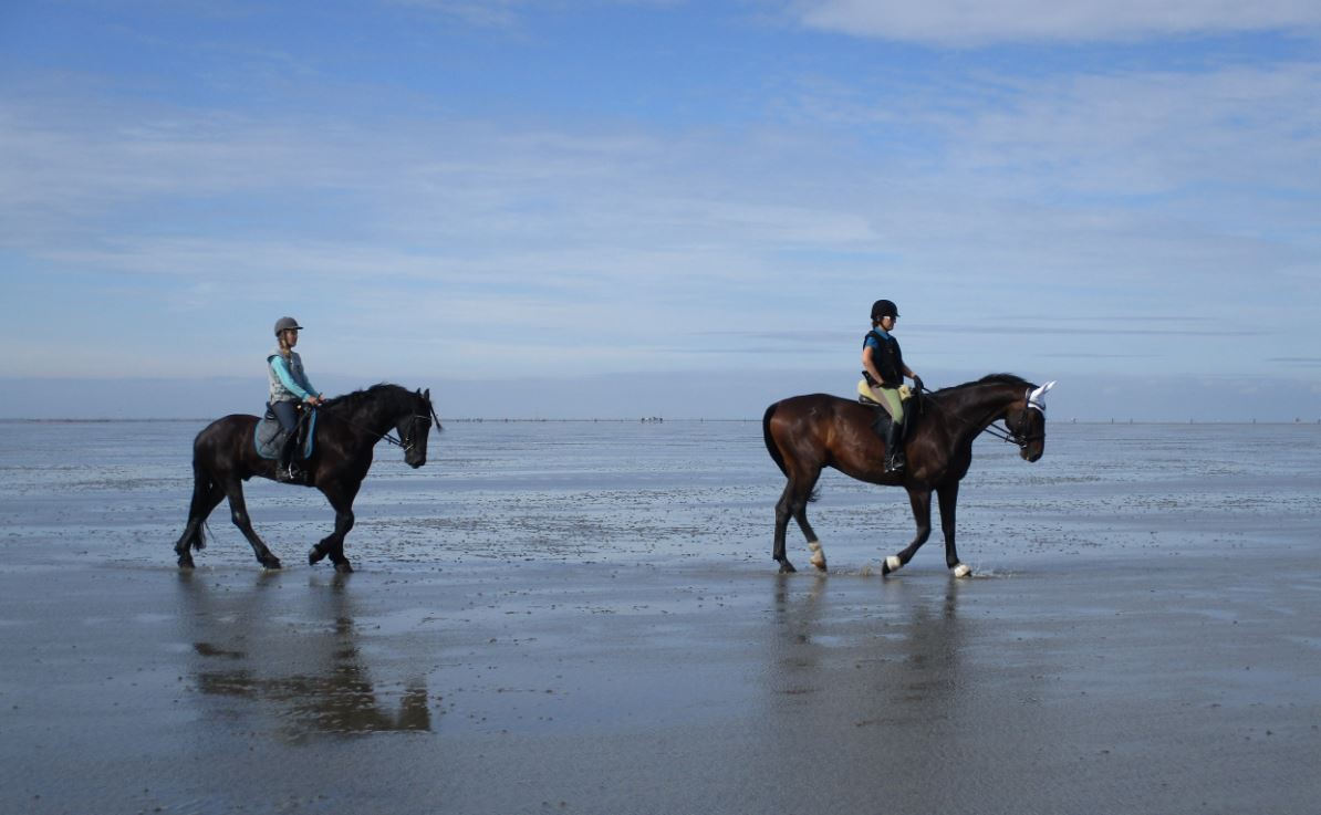 Nordsee 2016